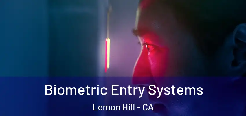  Biometric Entry Systems Lemon Hill - CA