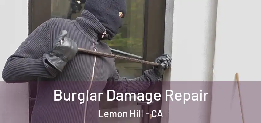  Burglar Damage Repair Lemon Hill - CA
