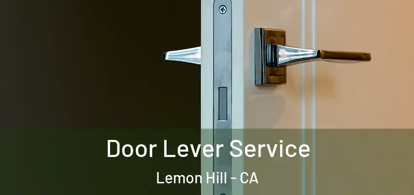  Door Lever Service Lemon Hill - CA