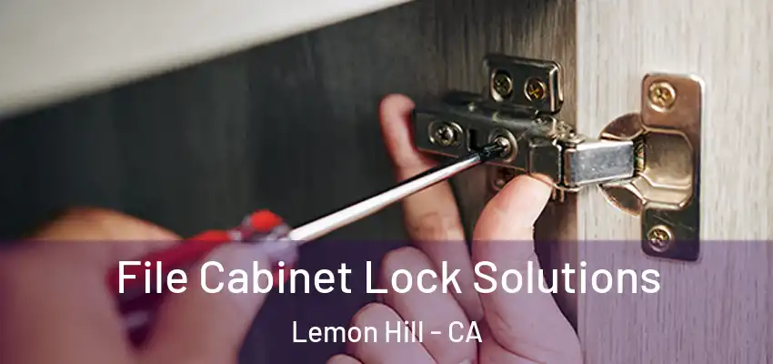  File Cabinet Lock Solutions Lemon Hill - CA