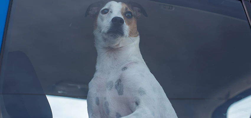 Car Lockout Solutions in Lemon Hill, California