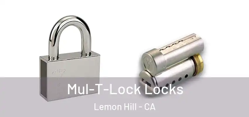  Mul-T-Lock Locks Lemon Hill - CA