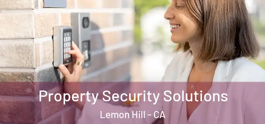  Property Security Solutions Lemon Hill - CA